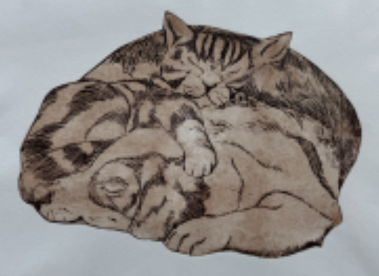 Found Art – Summer 2025 Edition